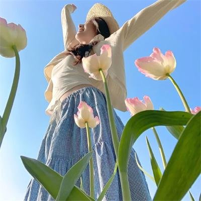 铁马车王：驶向自由